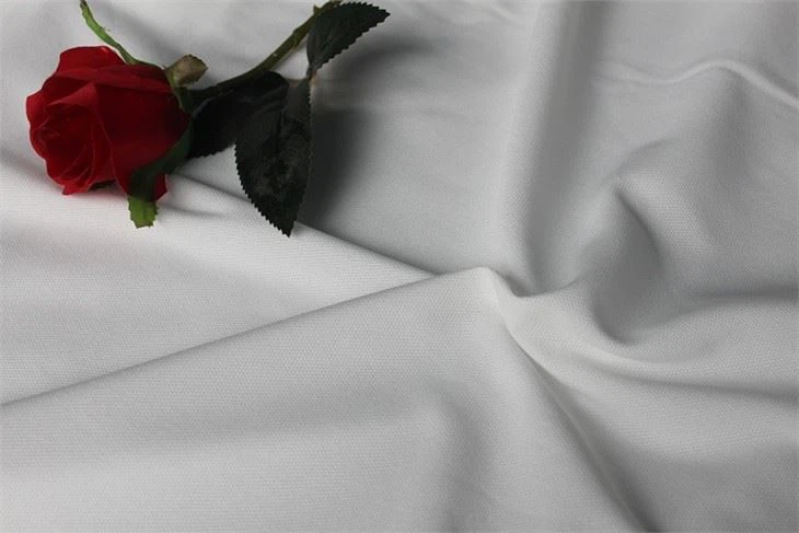 Polyester Backing For TPU Leather